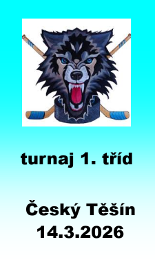 20260314-r2019-CeskyTesin